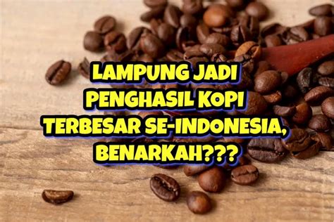 Ternyata Ini 5 Kabupaten Penghasil Kopi Di Provinsi Lampung Lampung