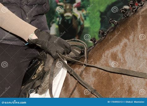 The Rider Holds The Reins In His Hands On A Horse Stock Image Image