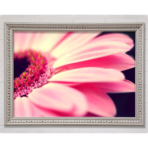 Ebern Designs Gerbera Pink Petal Close Up Einzelner Bilderrahmen