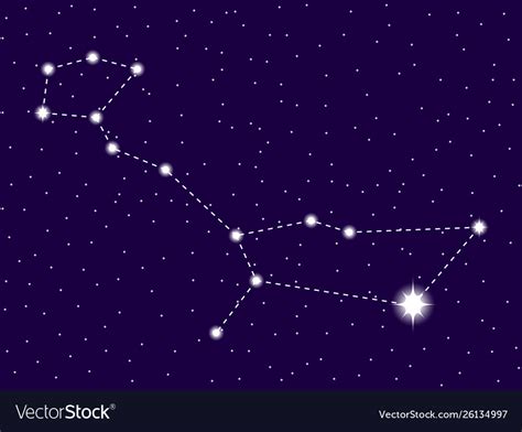 Cetus constellation starry night sky cluster Vector Image