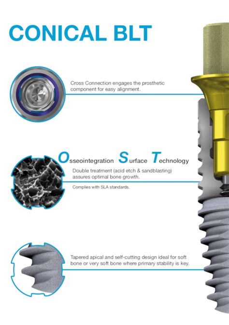 Conical BLT Implant DESS Implants DESS