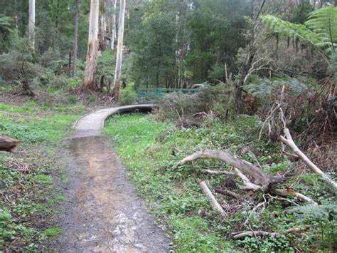 Tracks Trails And Coasts Near Melbourne Exploring Belgrave Lake Park