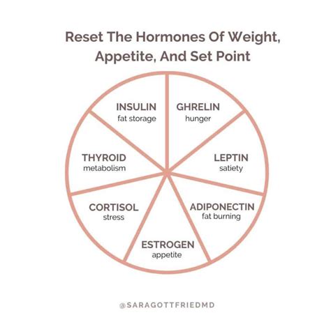 Women Food And Hormones Balancing Hormones For Weight Loss