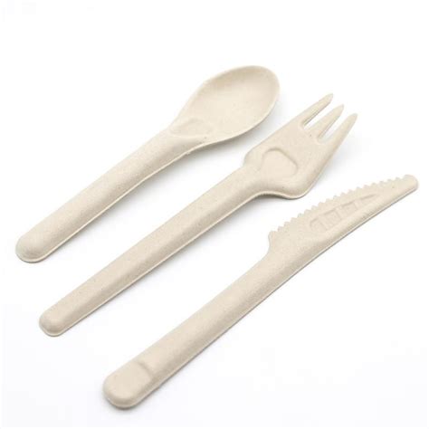 Popular Biodegradable Sugarcane Bagasse Cutlery Compostable