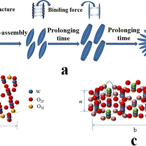 Schematic Illustrations A The Possible Formation Mechanism Of The