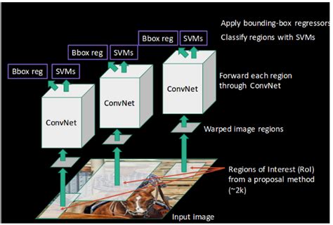 Object Detection Using Region Based Convolutional Neural Network RCNN