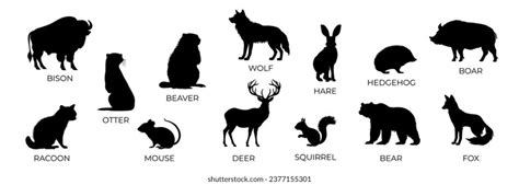 Forest Bear Silhouette Photos, Images & Pictures | Shutterstock