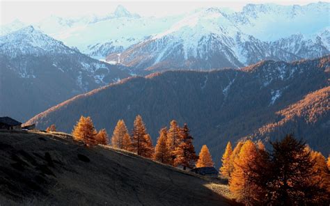 Wallpaper Landscape Forest Nature Snow Winter Valley Mountain