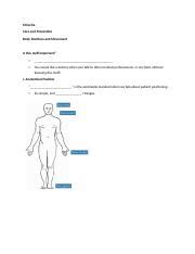 Understanding Body Positions and Movement: An Essential Guide | Course Hero