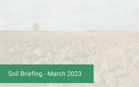 Soil Briefing March 2023 Soil Science Australia