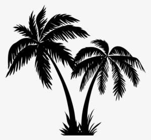 Island Palm Tree Silhouette Png E Nunix Matematica