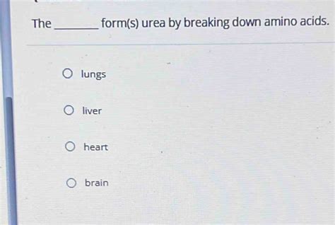 Solved The Form S Urea By Breaking Down Amino Acids Lungs Liver Heart Brain [biology]