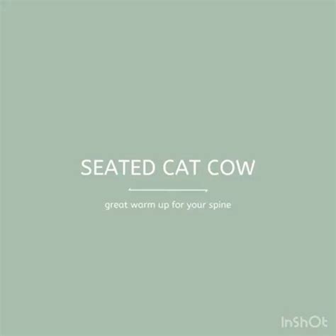 Thankfully Healthys Instagram Profile Post A SEATED CAT COW