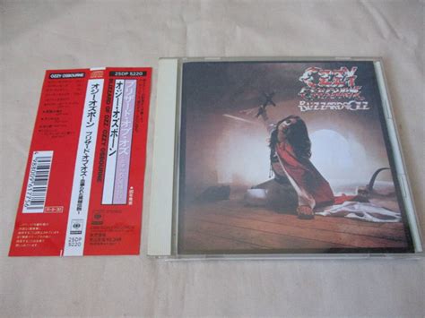 【目立った傷や汚れなし】ozzy Osbourne Blizzard Of Ozz ～血塗られた英雄伝説～ ‘88 Original 80