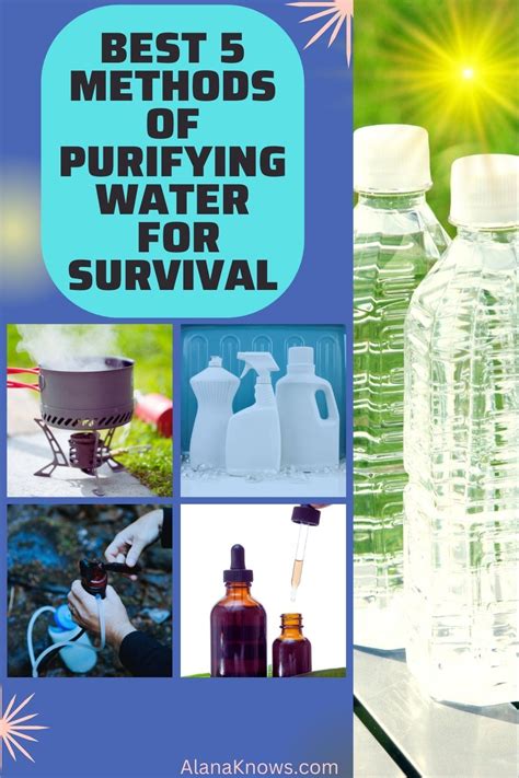 Best 5 Methods of Purifying Water for Survival in 2022 | Water purifier ...