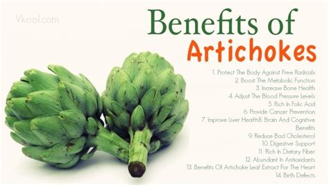 15 Health And Nutritional Benefits Of Artichoke