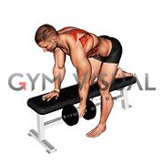 Dumbbell Bent Over Scapula Row Male