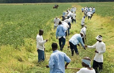 Angola prison (largest prison in United States) : r/prisonlads