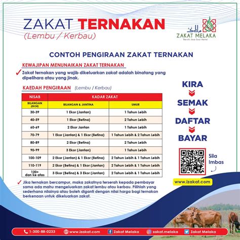 zakat haiwan ternakan beckettabbnelson