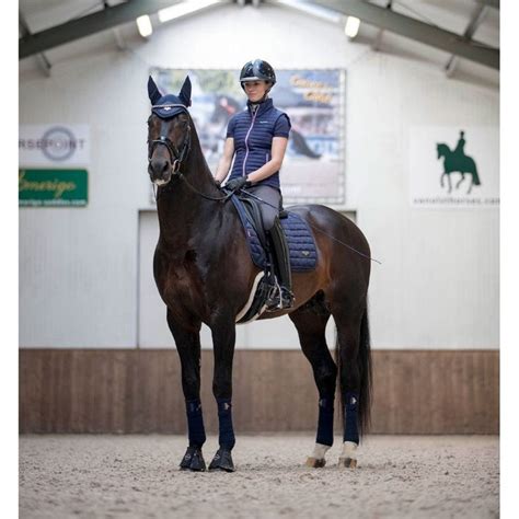 Lemieux Loire Memory Satin Dressage Square Saddle Pad Ink Blue Large