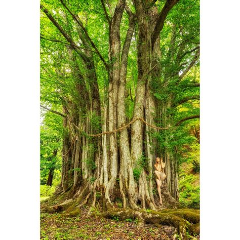 Katsura Shrine Entwine Treegirl Nude Fine Art Print Etsy