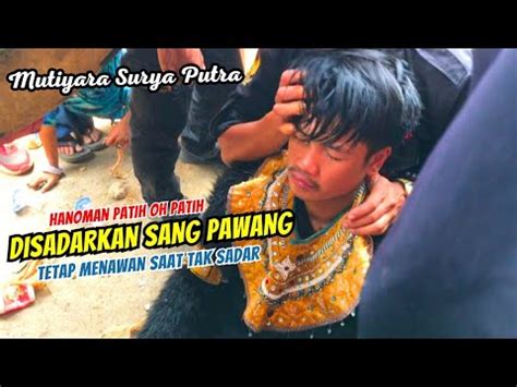 PESONA HANOMAN PATIH SAAT DISADARKAN DARI KESURUPAN TETAP MENAWAN KUDA