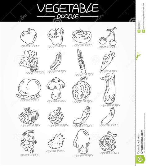 Iconos Vegetales Del Drenaje De La Mano Fijados Ilustraci N Del Vector