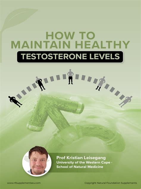 How To Maintain Healthy Testosterone Levels Eu Pdf Testosterone Obesity