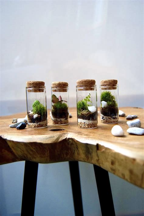 Fertige Mini Terrarien Glücksbringer Etsy de