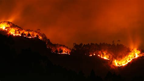 Los Efectos De Los Incendios Forestales En Las Zonas De Escalada