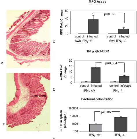 Figure 5 From Infection Salmonella And The Age Specific Response To