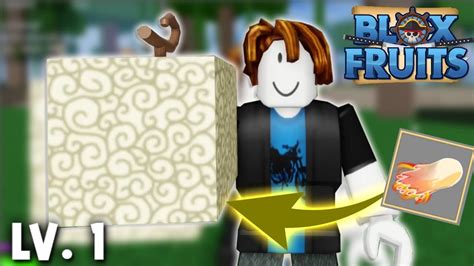 Các Lệnh Trong Blox Fruit Update 24 Random Reset