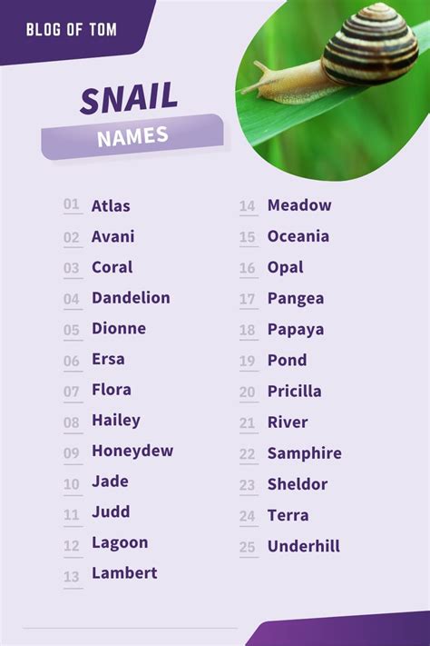 189 Sensational Snail Names Good Cute Funny Pet Names Pet