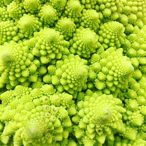 Brassica Oleracea Botrytis Group Romanesco Cauliflower Romanesco Uploaded By Bigemrg