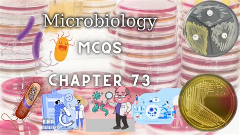 Microbiology Mcqs With Answer And Explanations Chapter Lab Tests