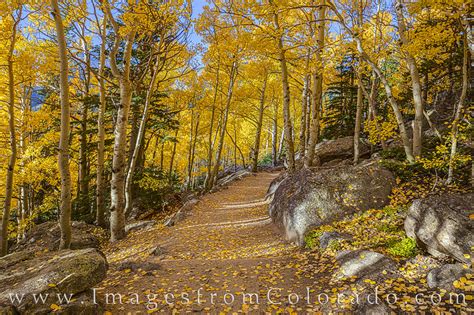 Autumn Colors Of Rocky Mountain National Park Rocky Mountain