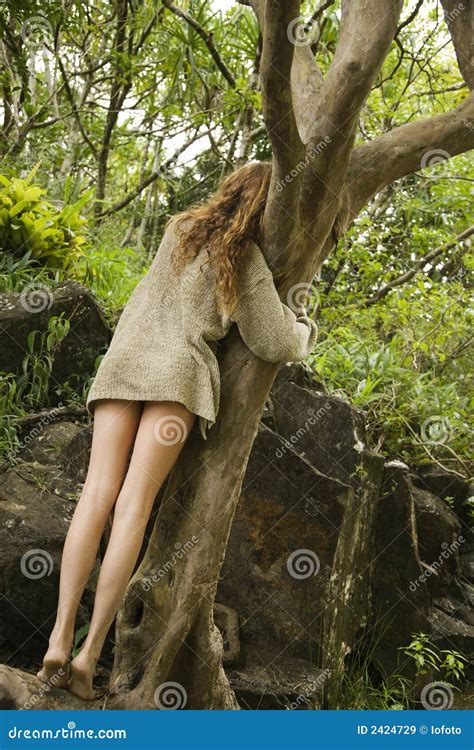 Woman Hugging Tree Stock Image Image Of Legs Caucasian 2424729