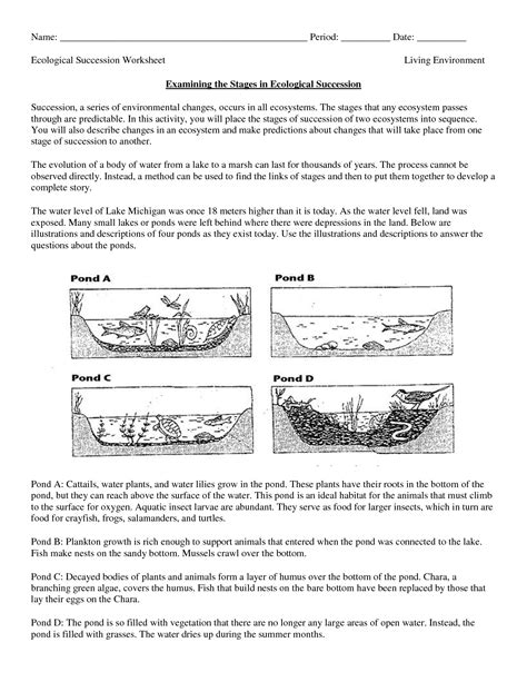 Th Grade Biology Printable Worksheets