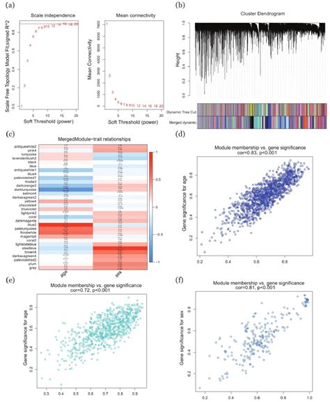 Selection Of Key Genes Using The Wgcna Method A Soft Thresholding