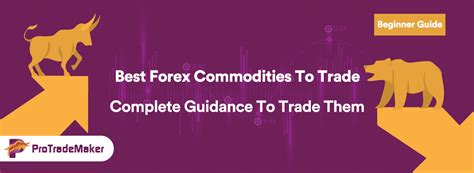 Best Forex Commodities To Trade In 2022 Complete Guidance To Trade Them