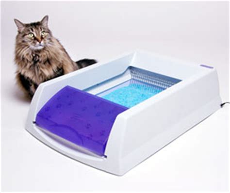 The Litterbox Chronicles: Scoop Free Litter Box Review – Pawcurious: With Veterinarian and ...