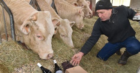 Côte d Or Gastronomie Douze chefs ont tiré au sort les morceaux du