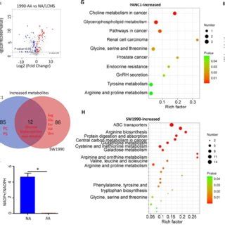 Proliferation Was Increased In Acidosis Adapted Pdac Cell A B Cck