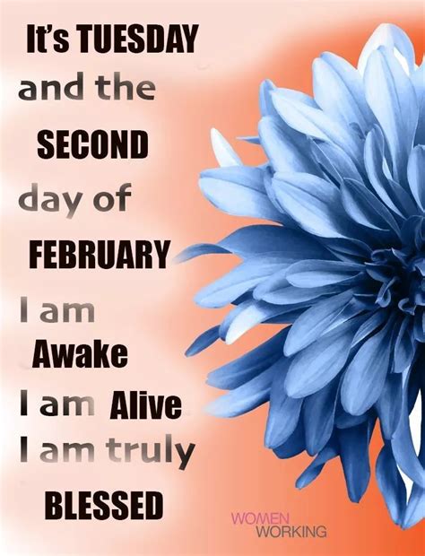 Pin By Deb Miller On Days Of The Month Days In February Awake Two