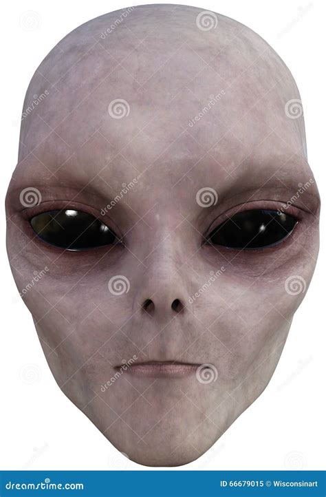 Et Space Alien Face Isolated Stock Image Image Of Extraterrestrial