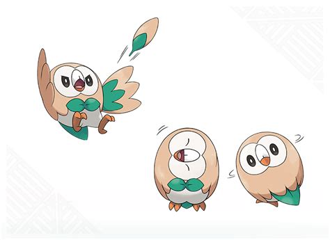 Rowlet Official Art Pokémon Know Your Meme