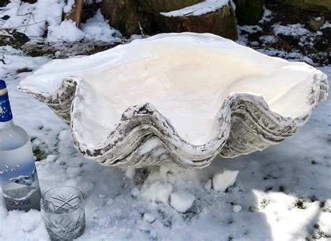 Xl Soft Grey Giant Clam Shell Sculpture Art Ornament Bowl Etsy