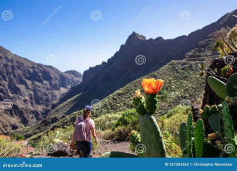 Woman On Scenic Hiking Trail To Masca Village In The Teno Mountain