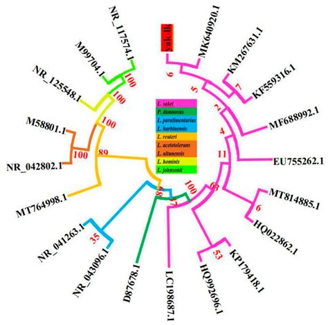 The Complete Genome Of Probiotic Lactobacillus Sakei Derived From