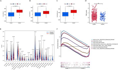 Identification Of Immune Cell Infiltration Landscape Tumor